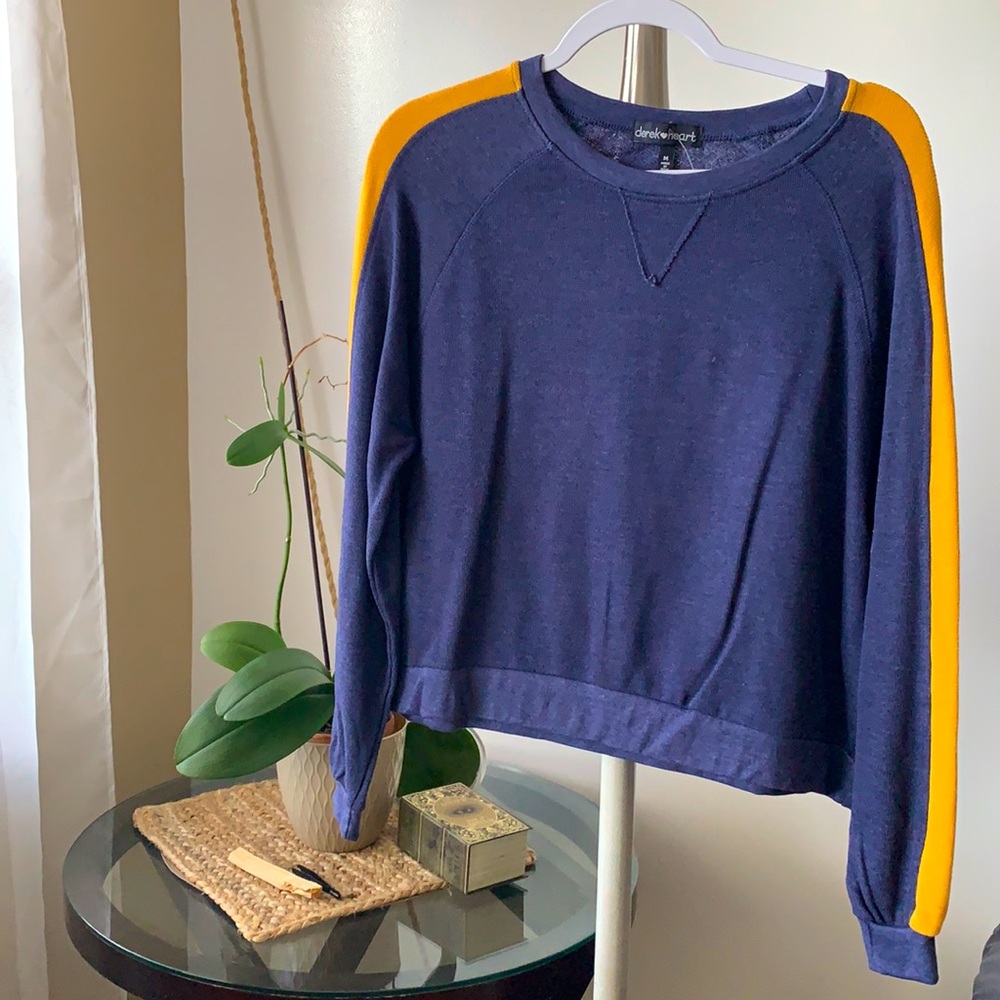 *NEW* Blue Crop Sweater